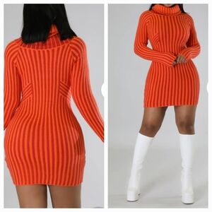 Arli Sweater Dress Large